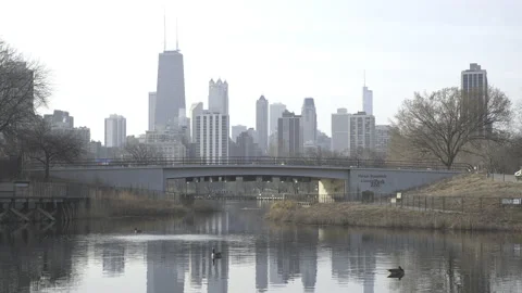 Chicago - Skyline Reflection in Pond with Ducks 2 - 4K Realtime Video stock 144932440