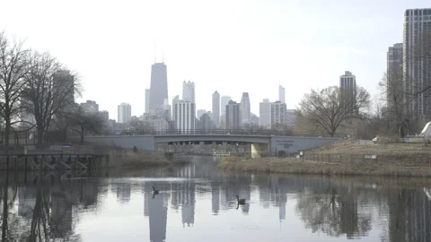 Chicago - Skyline Reflection in Pond with Ducks - 4K Realtime 스톡 동영상 144932461