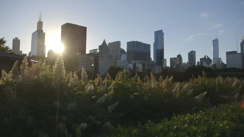 Chicago Skyline at Sunset Stock Footage