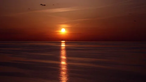 Chicago Skyline Sunset Stock Footage 299955760