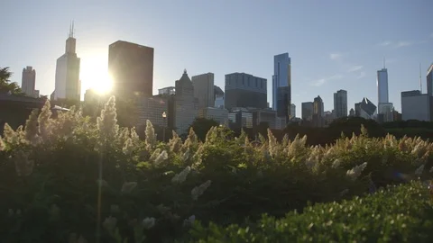 Chicago Skyline Time Lapse 库存影片 110824438