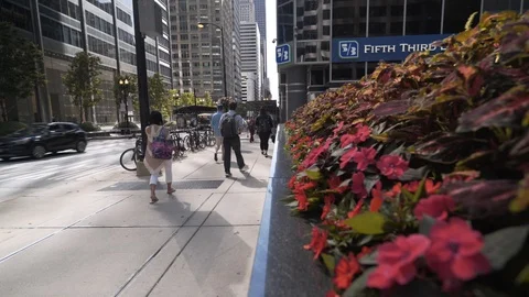Chicago street Stock Footage 119077720