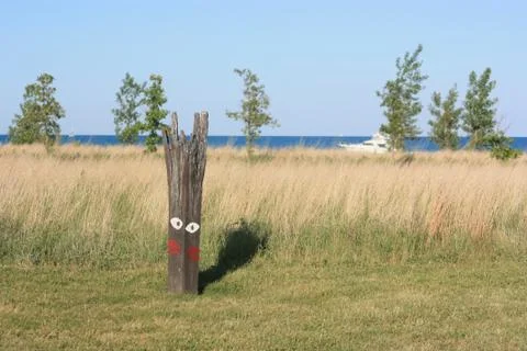 Chicago in summer Fotos de archivo