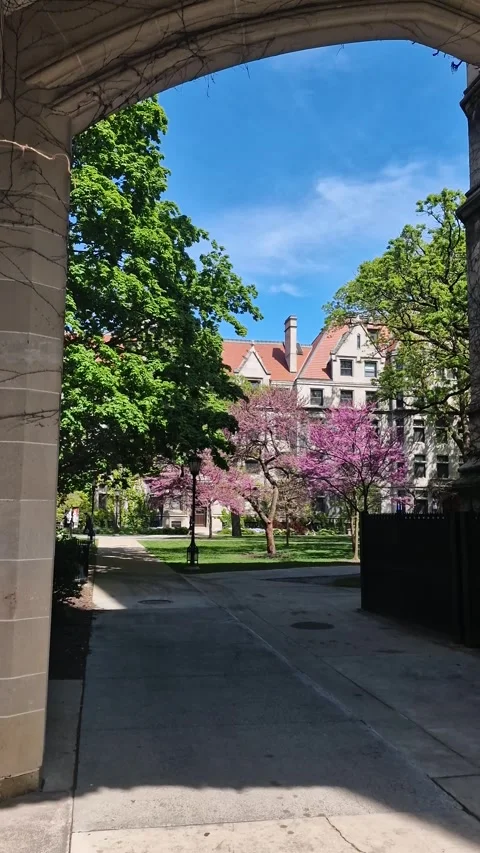 Chicago USA, Vertical View of University of Chicago Campus Buildings and Park Stock Footage 325171571