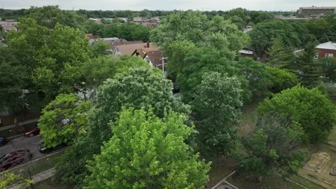 Chicago West Austin Trees Stock Footage 223374716