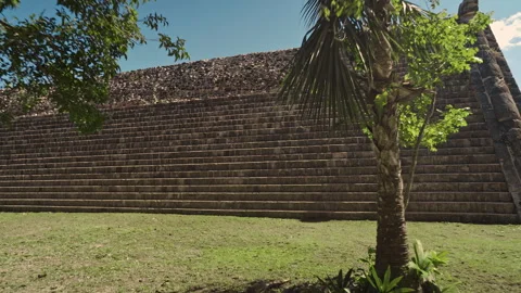 Chichen Itza Pyramid Stone Stairs Looking Up Perspective With Tree Stock Footage 311829851