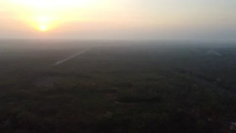 Chichen Itza pyramids and forest early morning in sunrise time Stock Footage 209410605