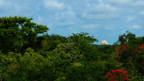 Chichen Itza seen from the jungle Stock Footage 94709834
