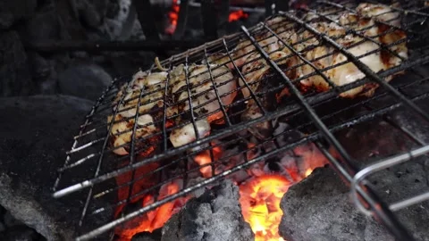 Chichen legs on coals. BBQ. pollo brace 4 Stock Footage 254976864