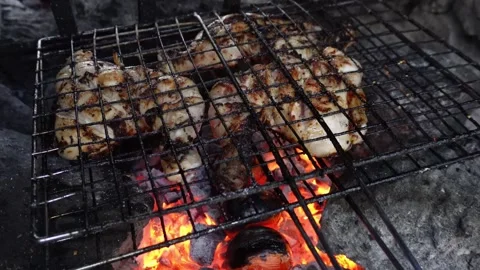 Chichen legs on coals. BBQ. pollo brace 6 Video stock 254977330