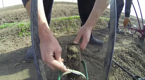 Chichtyat wheel Video stock 36766633