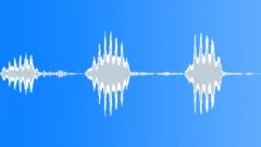 Chick 01 Sound Effect