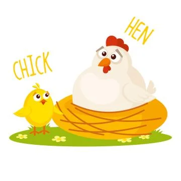 Chick and Hen Vector illustration isolated Stock Illustration