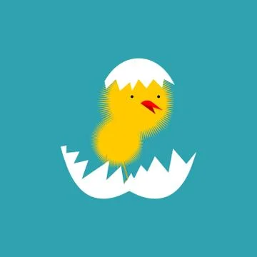 Chick and shell egg isolated. Small Chicken. little farm yellow bird イラスト素材