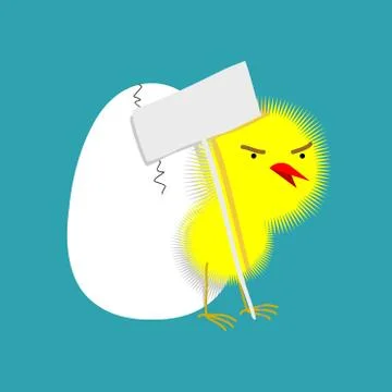 Chick and shell egg isolated. Small Chicken. little farm yellow bird イラスト素材