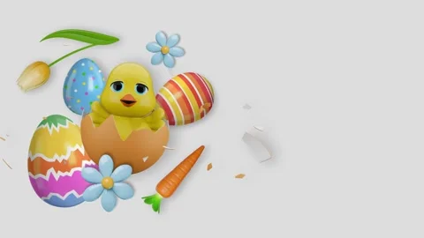 Chick banner1 Stock Footage 330357992
