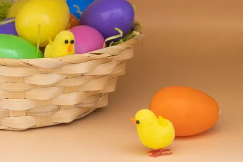 Chick in a basket Stock Photos