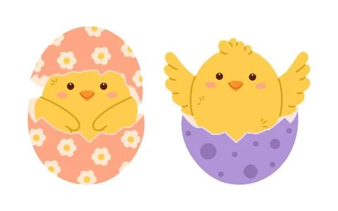 Chick in Easter egg set. Chicken hatch from cracked egg 스톡 일러스트