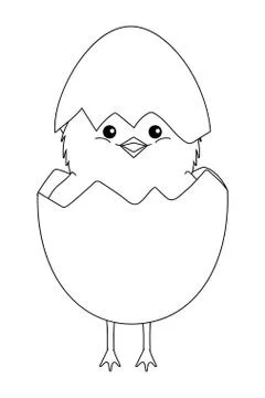 Chick with eggshell Stock Illustration