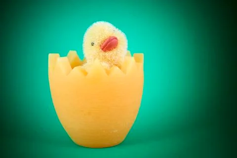 Chick in eggshell Foto stock