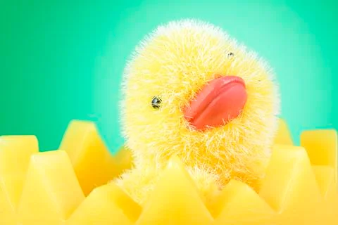 Chick in eggshell Stock-Fotos