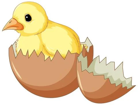 A chick in hatching egg Stock Illustration