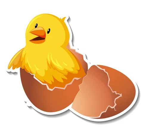 Chick hatching from an egg on white background イラスト素材