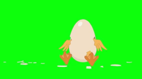 Chick hatching 库存影片 65803623