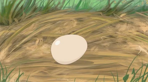 Chick hatching 库存影片 67651926