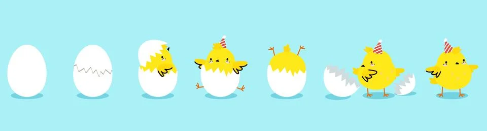 Chick hatching process, yellow chicken in eggs. Cute cartoon bird hatch egg and 스톡 일러스트