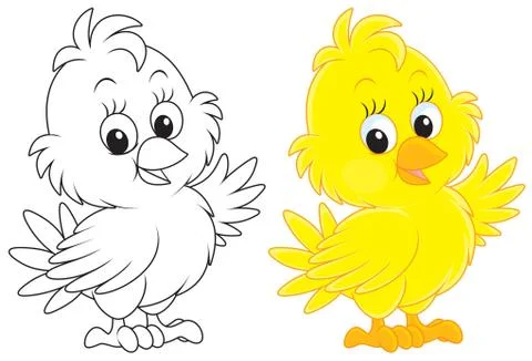 Chick Stock Illustration