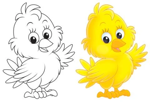 Chick Stock Illustration