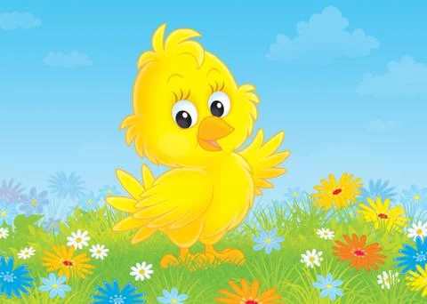 Chick Stock Illustration