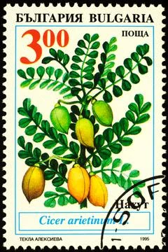 Chick pea on postage stamp Stock Photos