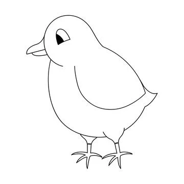 Chick. Sketch.  Chicken cub. Vector illustration. Illustrazione stock