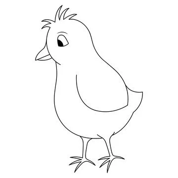Chick. Sketch. Vector illustration. Illustrazione stock