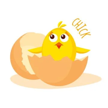 Chick vector illustration Stock Illustration