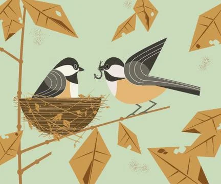 Chickadee bird couple Stock Illustration