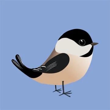 A chickadee comic illustration Illustrazione stock