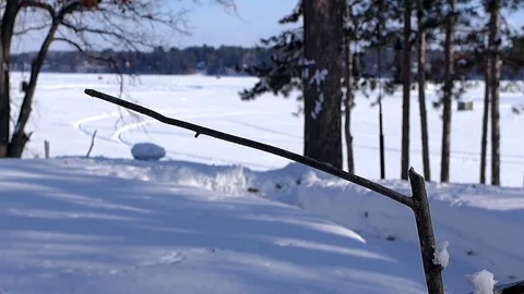 Chickadee in slow motion lands on winter perch by lake, poops, then flies away. Stock-Footage 71156622