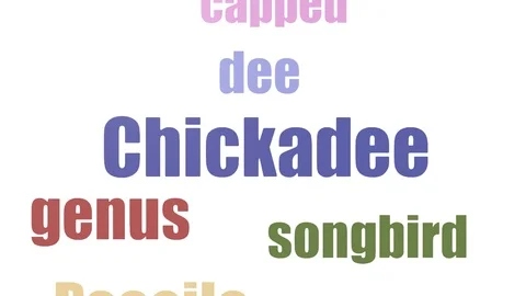 Chickadee Tag Cloud Animated Isolated Stock Footage 107249204