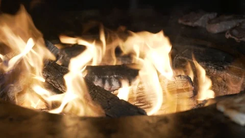 Chicken and beef cooking on a fireplace Stock Footage 100908910