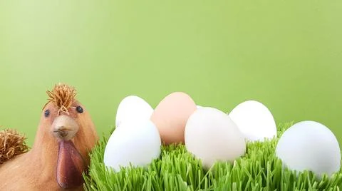 Chicken and easter eggs on a bright background Stock Photos