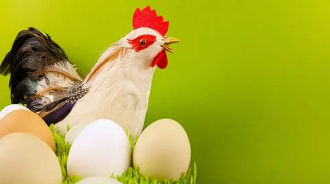 Chicken and easter eggs on a bright background Stock Photos