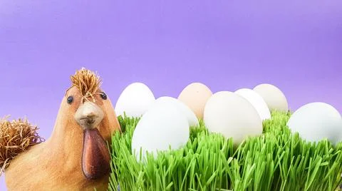 Chicken and easter eggs on a bright background Stock Photos