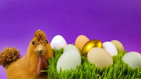 Chicken and easter eggs on a bright background Stock Photos