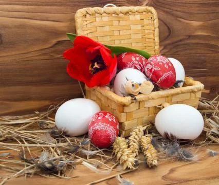 Chicken and easter eggs Stock Photos