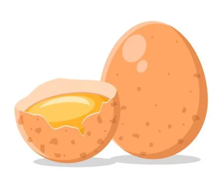 Chicken and the egg half with the yolk and protein on white background. Stock Illustration