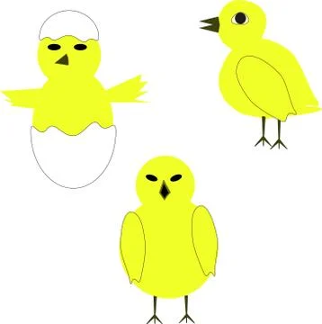 Chicken and egg 库存插图