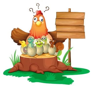 Chicken and eggs Stock Illustration